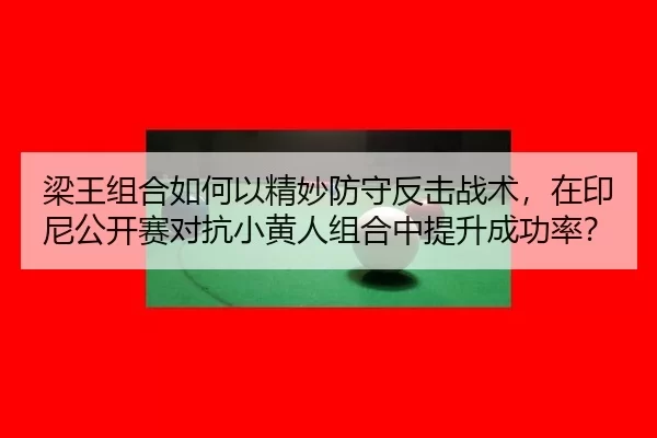 liang-wang-zu-he-ru-he-yi-jing-miao-fang-shou-fan-ji-zhan-shu-zai-yin-ni-gong-kai-sai-dui-kang-xiao-huang-ren-zu-he-2-809.jpg